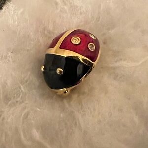 Lady Bug Pin